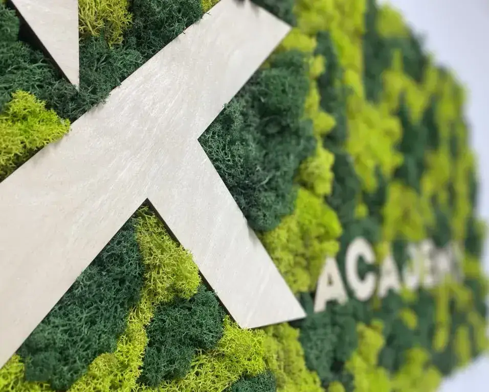 Нашият екип в действие